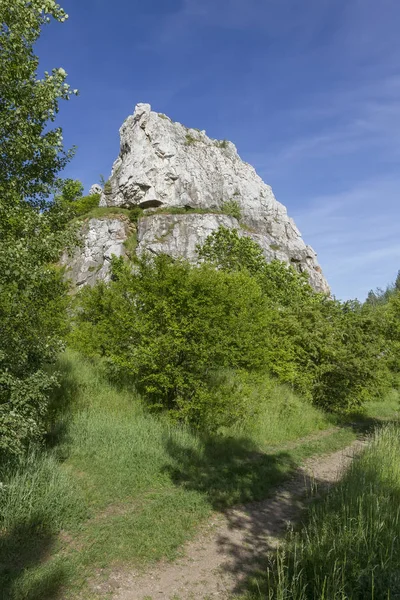 Холмистый Ландшафт Юрскими Известняковыми Скалами — стоковое фото