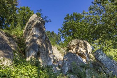 Arı kovanı taşlar Bukk dağlarda - Macaristan