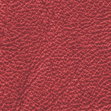 kırmızı deri doku portre. Arka plan için yararlı