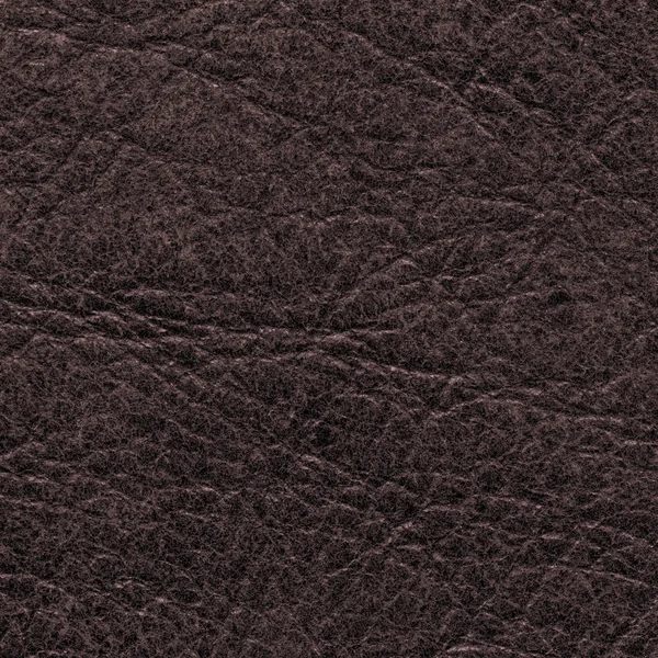 Brown old leather texture or  background — Stock Photo, Image