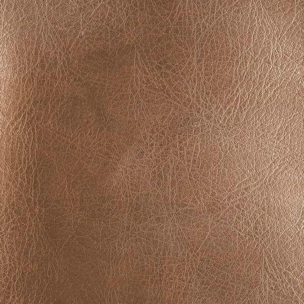 Barna bőr textúra — Stock Fotó
