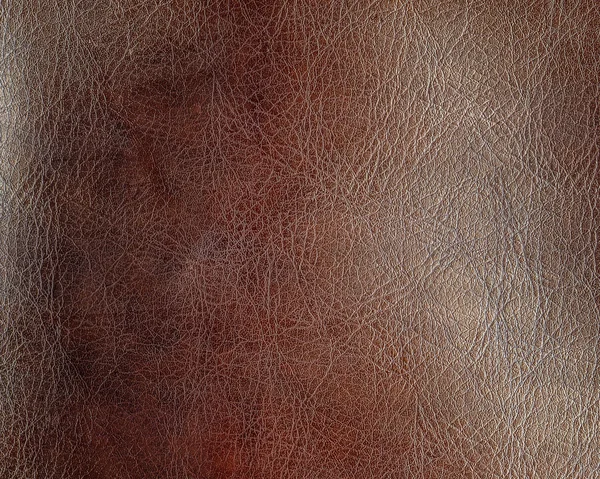 Texture cuir marron — Photo