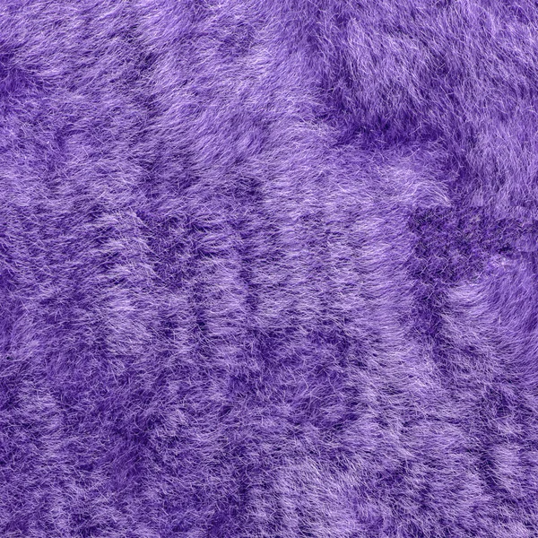 Lackiertes violettes natürliches Fell als Hintergrund — Stockfoto