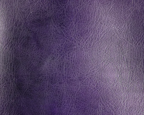 Violet leather texture closeup — Stock Photo, Image