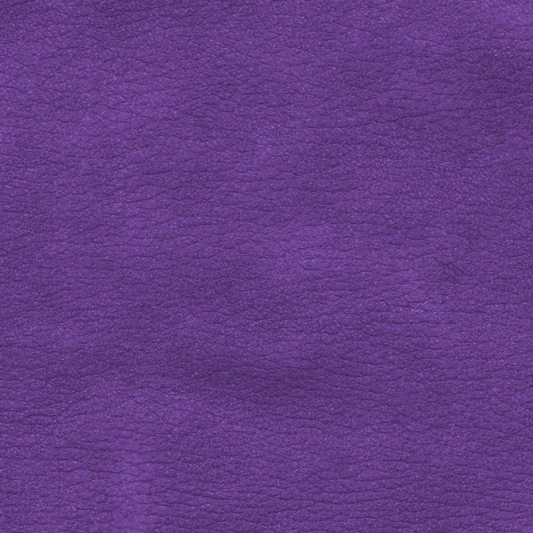 Violet leather texture closeup — Stock Photo, Image