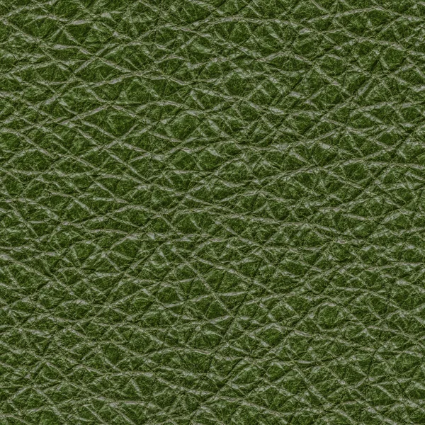 Textura de couro verde detalhada alta — Fotografia de Stock