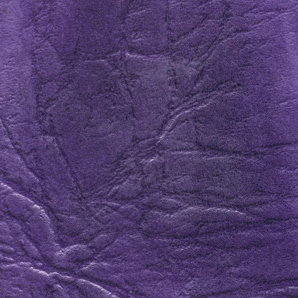 Hög detaljerad konsistens av gamla violett konstläder — Stockfoto