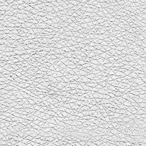 Textura de couro branco closeup.Useful para fundo — Fotografia de Stock