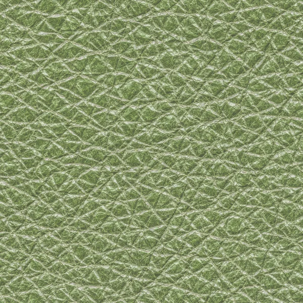 Hoog gedetailleerde licht groen leder texture — Stockfoto