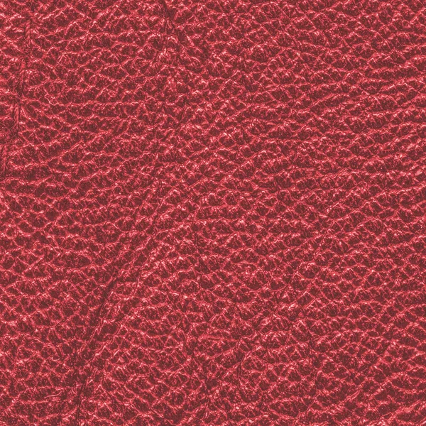 Textura de couro vermelho close-up. Útil para fundo — Fotografia de Stock