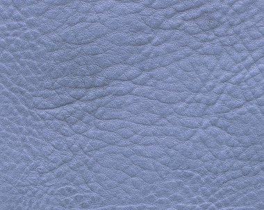 mavi deri doku portre. Arka plan için yararlı