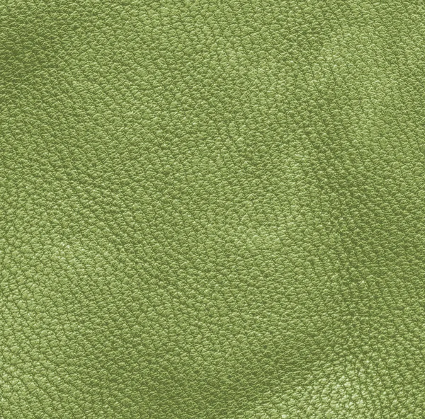 Texture cuir vert gros plan — Photo