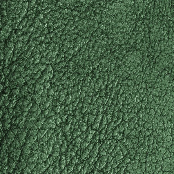 Green leather texture closeup — Stock Photo, Image