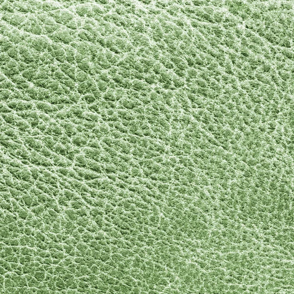 Textura de cuero verde primer plano — Foto de Stock