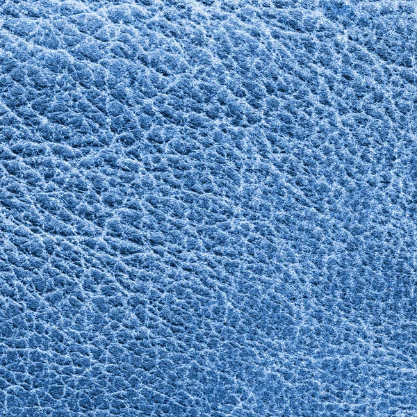 Textura de couro azul. Útil como fundo — Fotografia de Stock