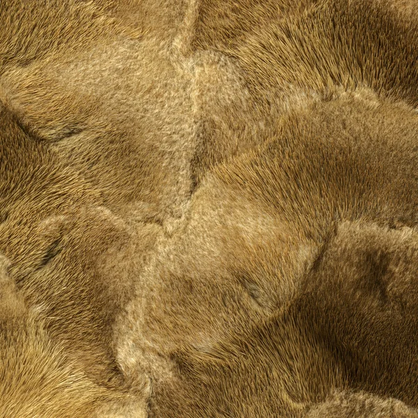 Natural brown  mink fur texture closeup — Stock Photo, Image