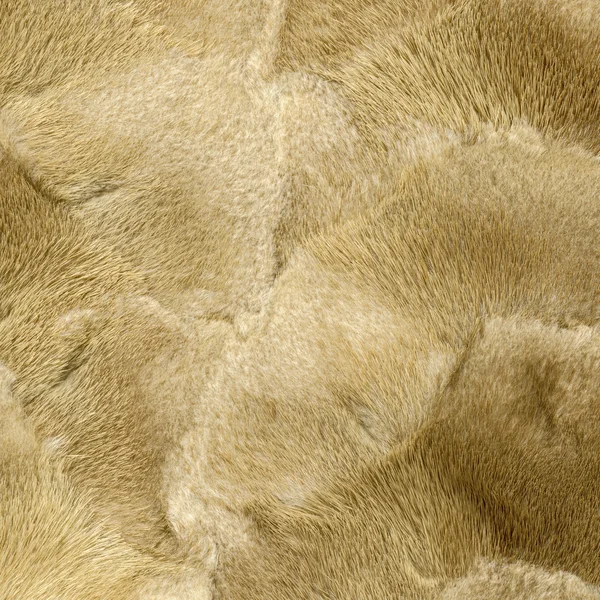 Natural beige mink fur texture closeup — Stock Photo, Image