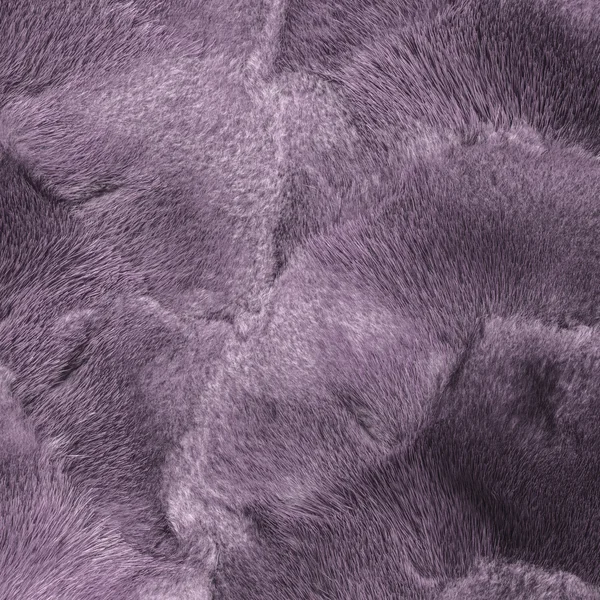 Malované šedá fialová přírodní norkové kožešiny textury detailní — Stock fotografie