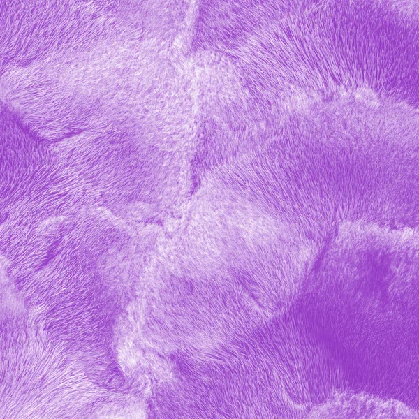 Malowane blady fiolet norek futro tekstura zbliżenie — Zdjęcie stockowe
