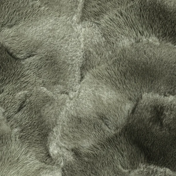 Βαμμένο γκρι-πράσινο φυσικό βιζόν γούνα υφή κινηματογράφηση σε πρώτο πλάνο — Φωτογραφία Αρχείου