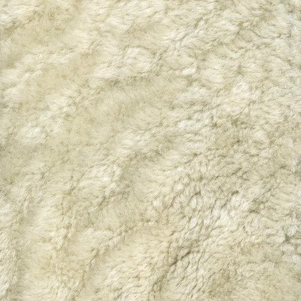 Fond texturé fourrure blanche — Photo