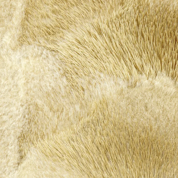 Natural beige mink fur texture. — Stock Photo, Image