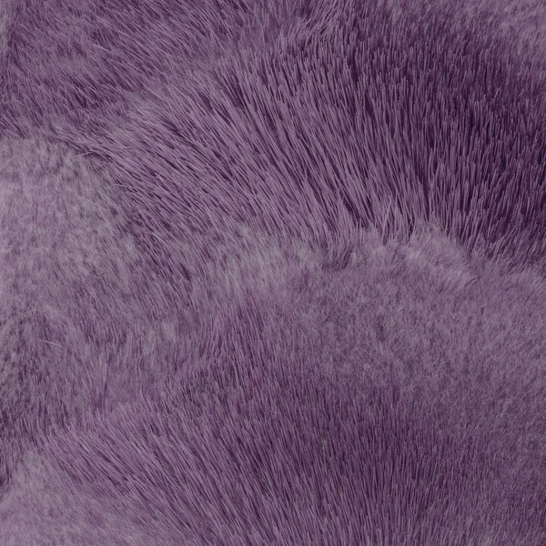 Natural painted violet mink fur texture — Stock Photo, Image