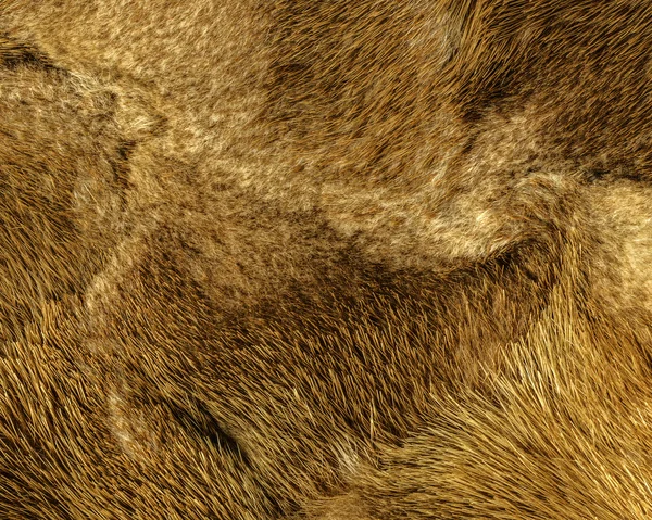 Textura de piel de visón marrón amarillento natural primer plano —  Fotos de Stock