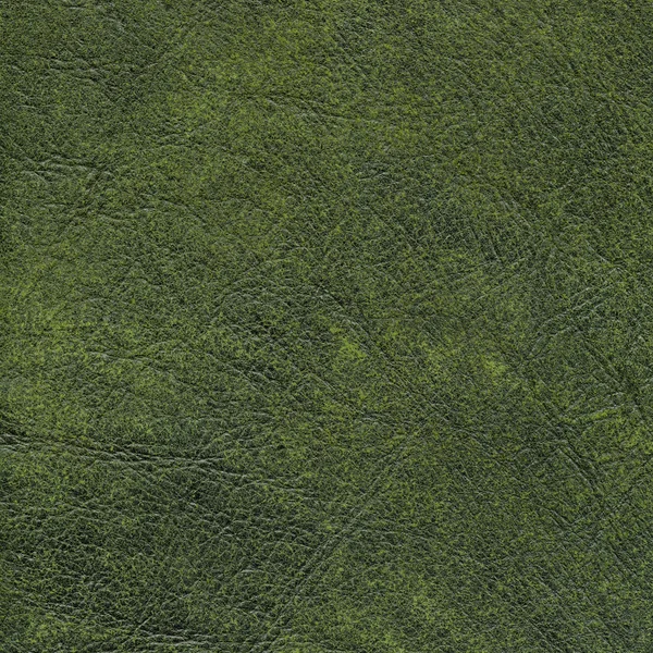 Arka plan olarak yeşil kırışık deri doku — Stok fotoğraf