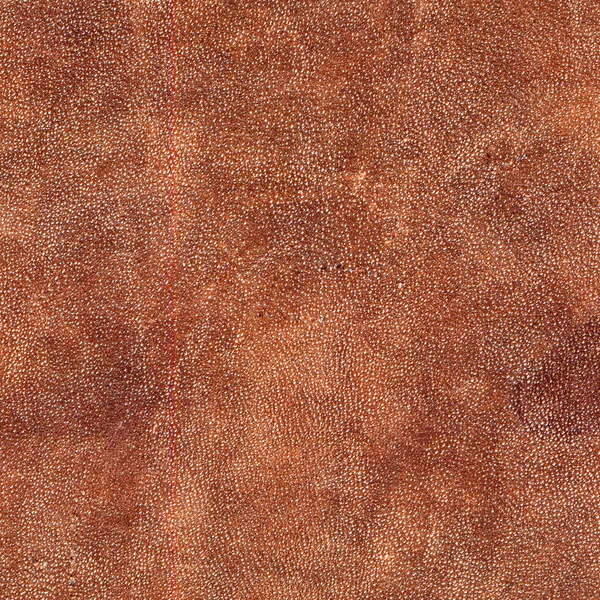Rood-bruine textuur als achtergrond voor uw ontwerp-werken — Stockfoto