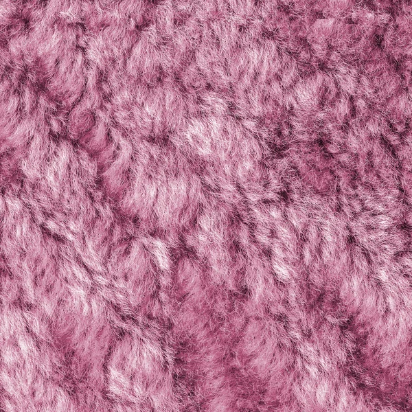 Pomalowane fioletowe futro naturalne tekstura zbliżenie — Zdjęcie stockowe