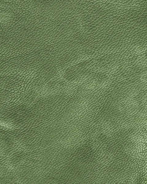 Texture cuir vert gros plan — Photo