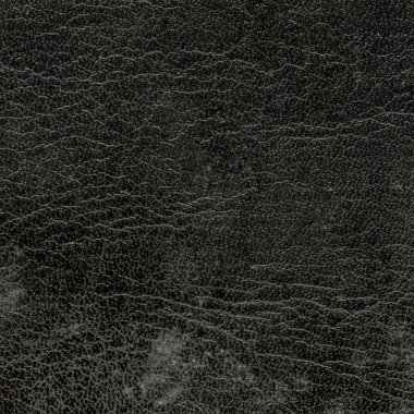 eski siyah deri dokusu portre.  