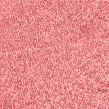 soluk kırmızı deri doku veya arka plan