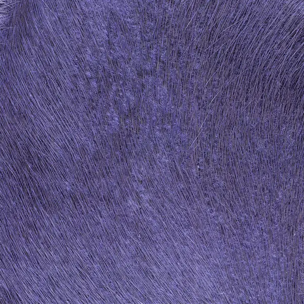Painted blue natural fur texture closeup — Stock Photo, Image