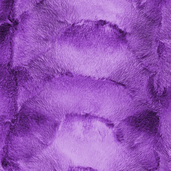 Painted violet natural mink fur texture closeup. — Stock Photo, Image