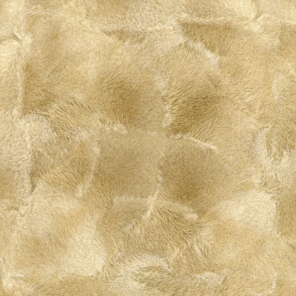 Natural mink fur texture closeup as beige background — ストック写真