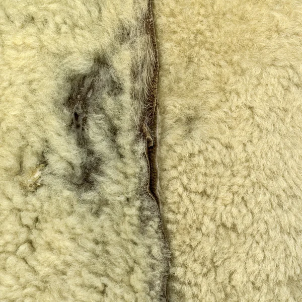 Old sheepskin texture, seam — Φωτογραφία Αρχείου