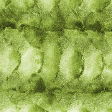 Yeşil vizon kürk doku veya arka plan boyalı