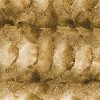 sarımsı bej vizon kürk doku veya arka plan