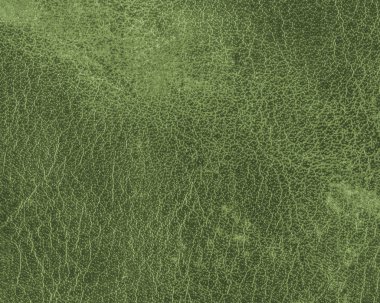 yüksek Detaylı eski yeşil deri doku. 