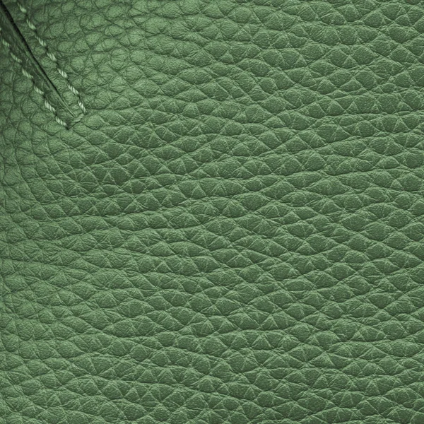 yeşil deri doku closeup, kat, dikiş