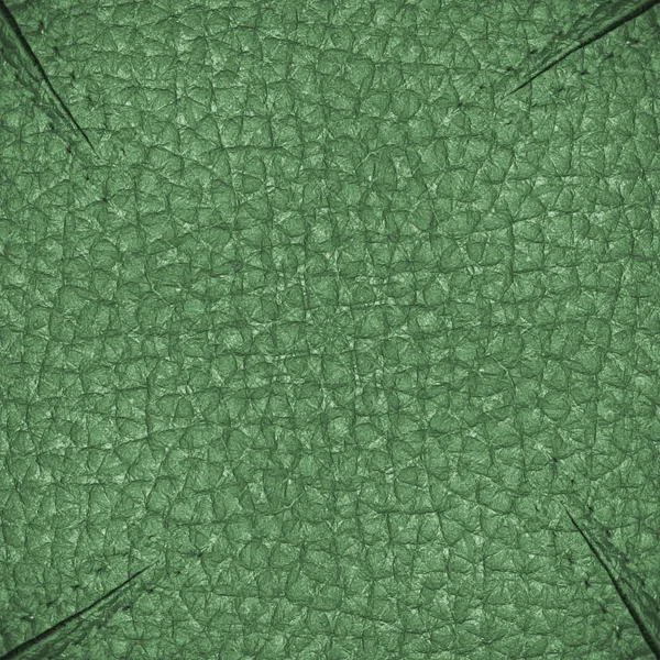 Green leather texture,folds,stitches — Stock Photo, Image