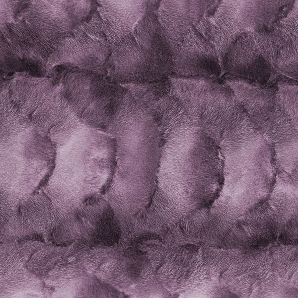 Malovanými fialovými norek kožešiny textura nebo pozadí — Stock fotografie