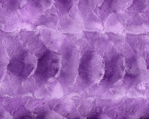 Dipinto viola naturale pelliccia texture o sfondo — Foto Stock