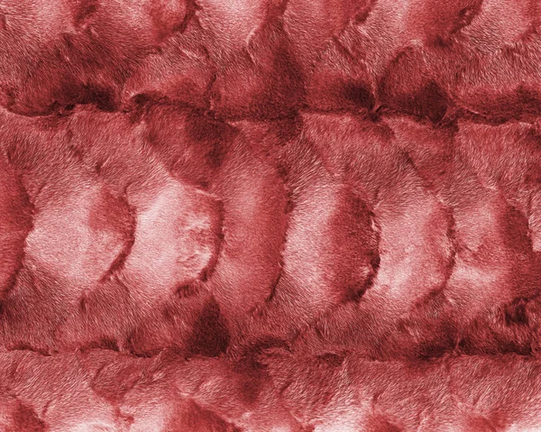 Verniciato rosso naturale pelliccia texture o sfondo — Foto Stock