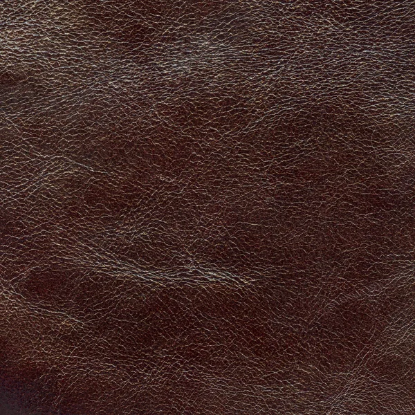 Texture cuir marron foncé. Utile pour le contexte — Photo