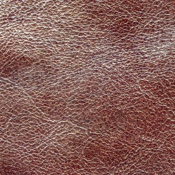 Red-brown leather texture closeup — Stock Photo, Image