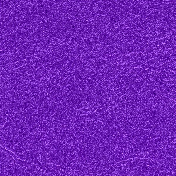 Violet leather texture closeup. — Stock Photo, Image