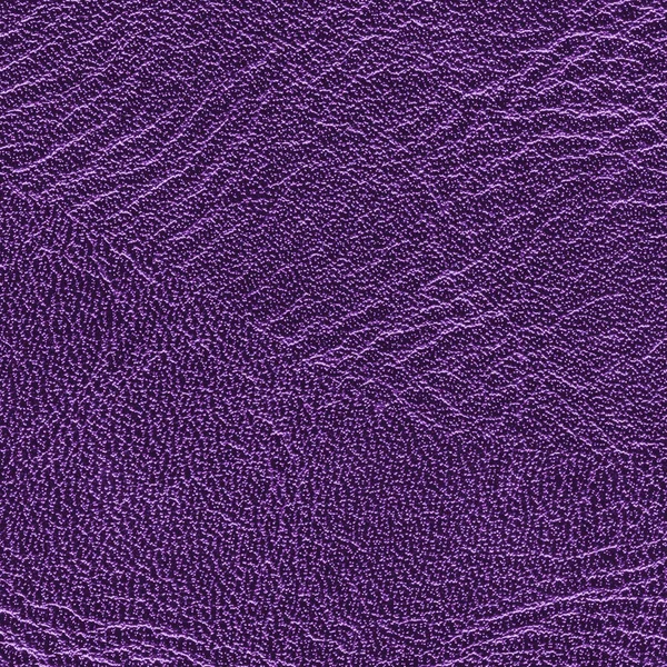 High detailed violet leather background, — Stock Photo, Image
